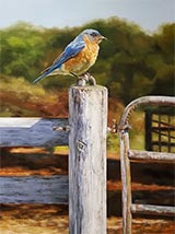 Bird painting by Brenda Kidera available from Peninsula Gallery in Lewes, Delaware, 041523