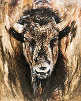 Bison painting by Susie Gordon available from New Towne Gallery in Millersburg, Ohio, 121623