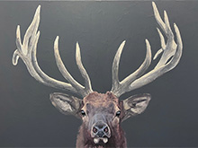 Elk Painting by Andrew Bolam available at Mountain Trails Gallery in Park City, Utah, 022824