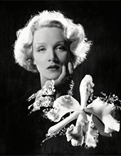 Photograph of Marlene Dietrich from 1932 on exhibition at Museum fur Fotografie in Berlin, February 2 - April 20, 2024, 040924