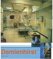 Damien Hirst book cover