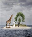 Post-Tsunami Art, book cover