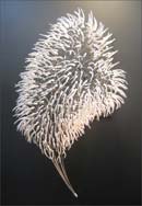 Artwork by David Hollen opening July 7th at Bert Green Fine Art in Los Angeles