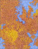 Artwork by Dan Zeller represented by Daniel Weinberg Gallery in Los Angeles