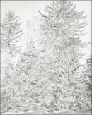 Artwork by Emily Brown represented by Gallery Joe in Philadelphia