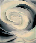 Artwork by Georgia O'Keeffe, painting of Rose, on display at San Francisco Museum of Modern Art