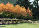 Artwork by Harlan Simantel represented by Brian Marki Fine Art in Portland