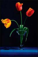 Artwork by Jane Jomes available from Bonner David Gallery in Scottsdale
