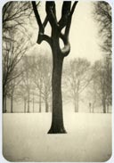 Photography by Jefferson Hayman represented by John Cleary Gallery in Houston