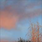Artwork by Linda Davidson in group exhbition at Catherine Person Gallery, until August 7th