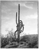 Artwork by Mark Klett available from Lisa Sette Gallery in Scottsdale