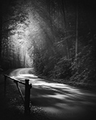 Photograph by Nicholas Bell, Ethereal Lane No. 2, available from Zatista.com
