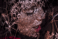 Artwork by Eitan Vitkon on exhibition at Emmanuel Fremin Gallery in New York, January 8 - February 8, 2015