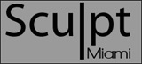 Sculpt Miami logo