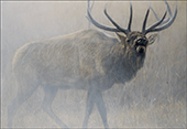 Artwork Echoes of Yellowstone by John Banovich