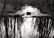 Photograph by Paul Caponigro available at Peter Fetterman GAllery in Santa Monica, CA, 121918