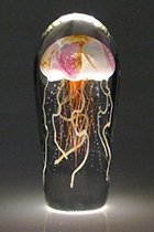 Glass art by Christopher Richards available from Hot Island Glass in Lahaina, Makawao, Maui, Hawaii, 022118
