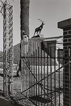 Photograph by Lee Friedlander in Lee Friedlander in Louisiana at New Orleans Museum of Art, April 27 – August 12, 2018