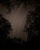 Photograph by Linda Connor available at Haines Gallery in San Francisco, 051618