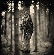 Ambrotype by Eric Antoine on exhibition at Dolby Chadwick Gallery in San Francisco, April 4 - 27, 2024, 022824