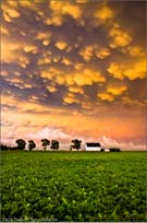 Photographs by David Mayhew available from Denver Photo Art Gallery in Denver