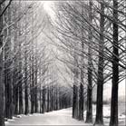 Photographs by Michael Kenna available from Stephen Wirtz Gallery in San Francisco