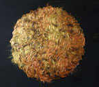 Artwork by Athena Tacha on exhibition at Marsha Mateyka Gallery in Washington, DC, through May 25