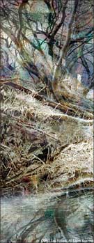 Photographic art by Lisa Holden is available from Iris Gallery in Boston