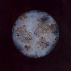 Artwork by Mayme Kratz available from Lisa Sette Gallery in Scottsdale