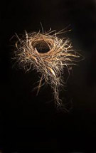Artwork by Mitchell Lonas on exhibition at Blue Spiral 1 in Asheville, NC, through May 25, 2013