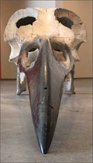 Artwork by Quentin Garel on exhibition at Bertrand Delacroix Gallery in New York, through June 1, 2013