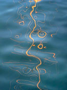 Artwork by Barbara Vaughn available from Dolby Chadwick Gallery in San Francisco
