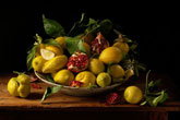 Photographs by Paulette Tavormina on exhibition at Robert Klein Gallery in Boston, June 7 - 29, 2013