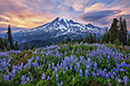 Aaron Reed photographer living in Washington state 090720