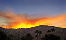 Photograph by Robert Bergazyn studio in Palm Desert, CA