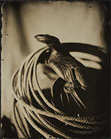 Wet plate Collodion Alumatype by Don Jones available from Broadmoor Galleries in Colorado Springs, CO, 062422