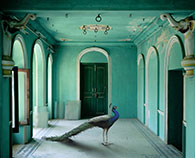 Photograph by Karen Knorr on exhibition at Sundaram Tagore Gallery in New York, May 5 - June 4, 2022, 043022