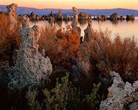 Photograph of Mono Lake by Kenneth Parker available from Addison/Ripley Fine Art in Washington, DC, October 2022, 093022