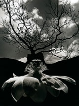Photograph by Jerry Uelsmann available from Scheinbaum Russek Ltd in Santa Fe, January 2023, 112422