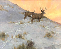 Painting of Two Bucks by Scott Yeager available from Parsons Gallery of the West in Taos, NM, 111222