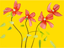 Flower print by Alex Katz available from Leslie Sacks Gallery in Santa Monica, CA, January 2023, 010523