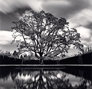 Photograph by Michael Kenna on exhibion at A Gallery for Fine Photography in New Orleans, LA, through March 15, 2023, 011623