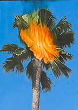 Palm painting by Perry Vasquez on exhibition at Quint Gallery in La Jolla, CA, January 25 - February 18, 2023, 011323