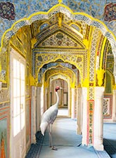 Color photograph by Karen Knorr on exhibition at Holden Luntz Gallery in Palm Beach, Florida, April 15 - June 17, 2023, 051623