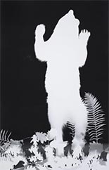 Black and white photogram by Zana Briski on exhibition at Edwynn Houk Gallery in New York, September 14 - October 14, 2023, 090423
