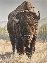 Bison painting by Nathan Novack on exhibition at SNW Gallery in Manhattan, KS, November 9 - December 30, 2023, 111023