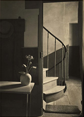 Black and white photograph by Andre Kertesz on exhibition at Edwynn Houk Gallery in New York, April 4 - May 25, 2024, 063024