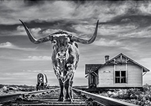 Photograph by David Yarrow available from Broschofsky Galleries, Ketchum, Idaho, May 2024, 052124