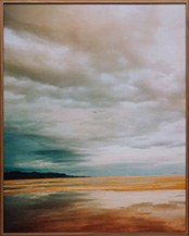 Photograph by Trevor Paglen on exhibition at Altman Siegel Gallery in San Francisco, September 5 - November 2, 2024, 091124