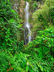 Maui waterfall photograph by Andrew Shoemaker available from Andrew Shoemaker Gallery in Maui, Hawaii, 120724